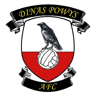 dpfc_web_logo__msi___png